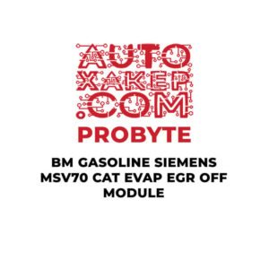 ProByte BM Gasoline Siemens MSV70 CAT EVAP EGR OFF Module