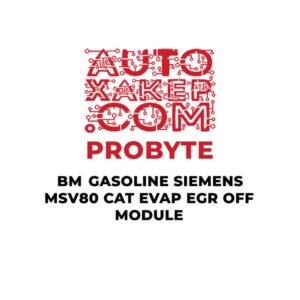 ProByte BM Gasoline Siemens MSV80 CAT EVAP EGR OFF Module