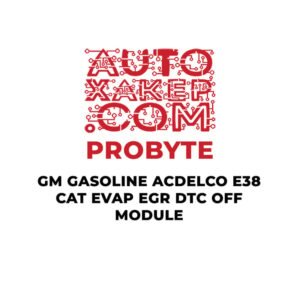ProByte GM Gasoline ACDELCO E38 CAT EVAP EGR DTC OFF Module