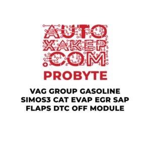 ProByte Vag Group Gasoline SIMOS3 CAT EVAP EGR SAP FLAPS DTC OFF Module