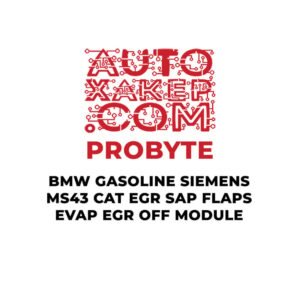 ProByte BMW Gasoline Siemens MS43 CAT EGR SAP FLAPS EVAP EGR OFF Module