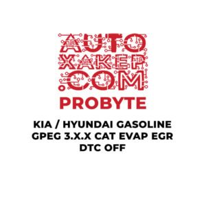 ProByte KIA / Hyundai Gasoline GPEG 3.X.X CAT EVAP EGR DTC OFF