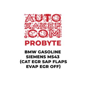 ProByte BMW Gasoline Siemens MS43 (CAT EGR SAP FLAPS EVAP EGR OFF)