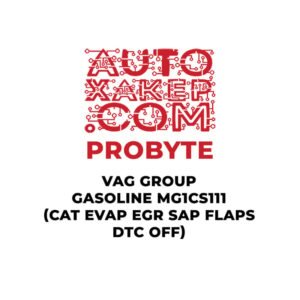 ProByte VAG Group Gasoline MG1CS111 (CAT EVAP EGR SAP FLAPS DTC OFF)